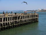 The Fishing Pier<br />0358