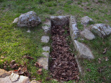 Ancient grave and oak leaves<br />8431