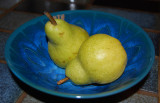 A Pair of Pears2287