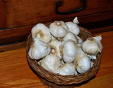 Garlic from Gilroy, California<br />2308