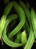 Chinese cucumbers<br />0953