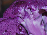 Purple Cauliflower: close up2518