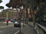 View on Via Serchio<br />9959