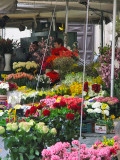 Flower vendor<br />Campo dei Fiori<br />9817