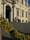 Mimosas at the Quirinale<br />1502