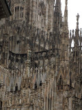 A forest of spires<br />5430cr