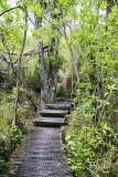 Boardwalk