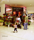 The Mall 2009