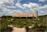 July Harvest Garden 2009