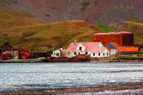 Whaling Station