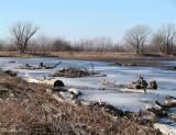 Frozen Marsh