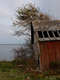 Fixer upper: lovely small cottage with a mature garden and a view of the Atlantic coast