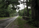 Rainy day, West Ponobscot