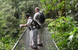 Birding at Heliconias Lodge