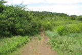 One of the trails at Rincon.