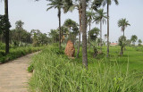 Kotu Cycle Track 
