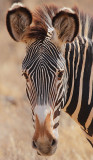 Samburu/Buffalo Springs