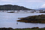 Arisaig