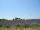 Provence 2009 003.jpg