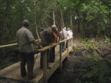 Springs trail3.jpg