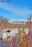 QuAppelle River Bridge