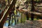 Fisher Creek Sink