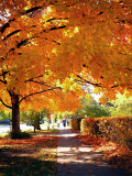 Fall in South Dakota