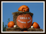 Dills Pumpkins