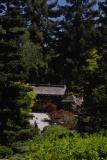 main gate at hakone