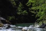 smith river, salmon perspective