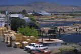 lumber mill, klamath falls