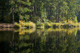 Fall Reflections