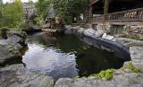Koi-Pond.jpg