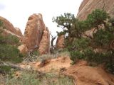 Arches National Park