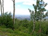 Grand Mesa National Forrest