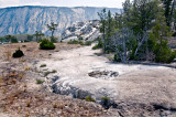 Geyser Basin