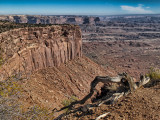 Canyonlands Overlook