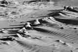 Dunes #13