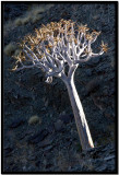 Fish River Canyon