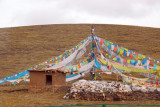 Tibetan prayer flags, south of Tuotuo Heyan