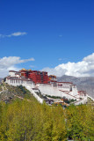 Autumn is nearing Lhasa