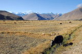 Dzaka Valley near Pagsum