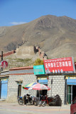 First view of part of Pelkor Chde Monastery on the distant hill