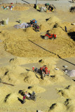 Farmers working the harvest, Shegar