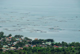 Fish farms in Lake Taal at the village of Talisay