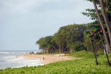 Kaanapali Beach at Royal Lahaina Resort