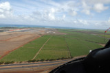 Coming in over the cane fields of the Central Valley, Maui