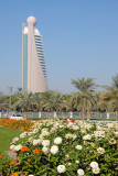 Flowers with Etisalat Tower