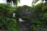 Part of the Seven Sacred Pools along Ohe'o Gulch