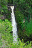 Makahiku Falls - 185 ft drop
